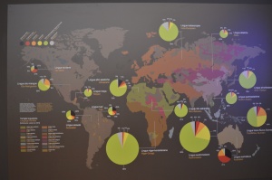 Mapa del estado de las lenguas en el mundo, MUSE, Trento (Italia).