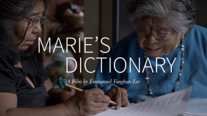 Marie's dictionary (Vaughan-Lee, 2014)